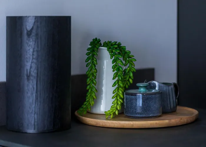 Tonic Union Bucureşti