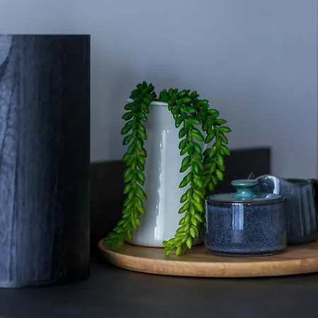 Tonic Union Bukarest